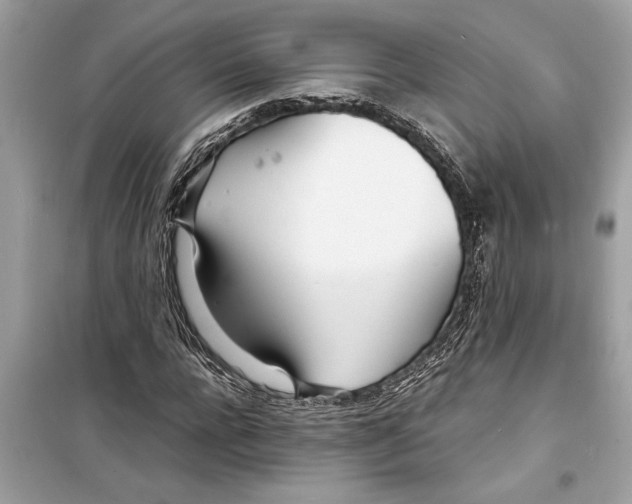 X0000098220920200805221645