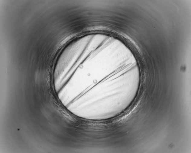 X0000098220921200805221645
