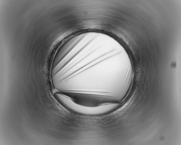 X0000098220922200805221645
