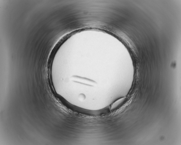 X0000098220924200805221645