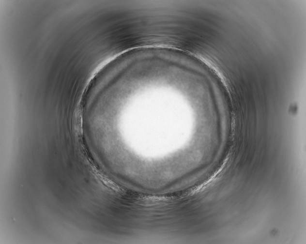 X0000098220925200805221645