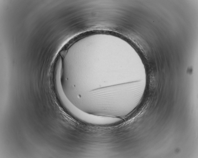 X0000098220926200805221645