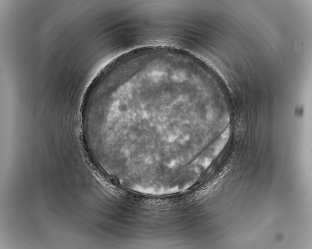 X0000098220927200805221645