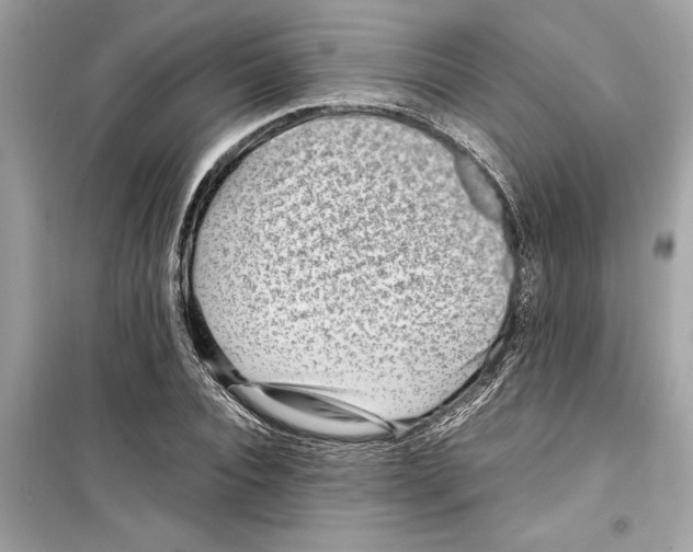 X0000098220928200805221645