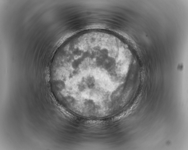 X0000098220929200805221645