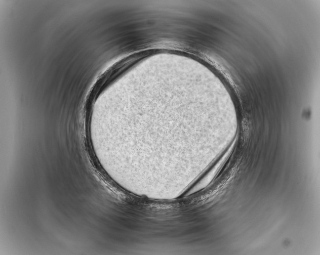 X0000098220931200805221645