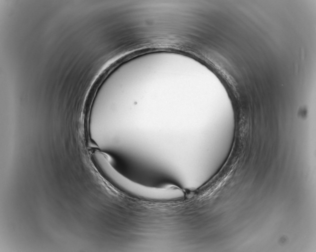 X0000098220932200805221645