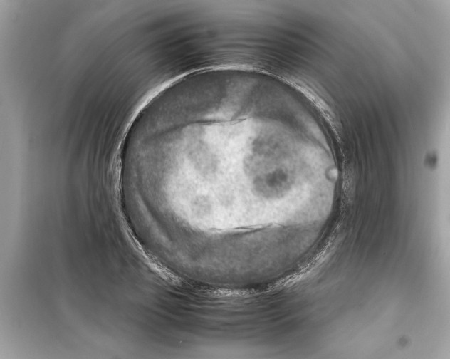 X0000098220933200805221645