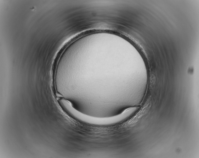 X0000098220935200805221645