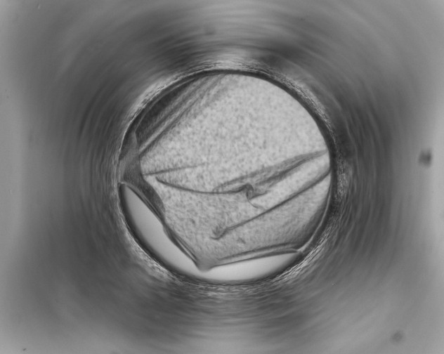 X0000098220938200805221645