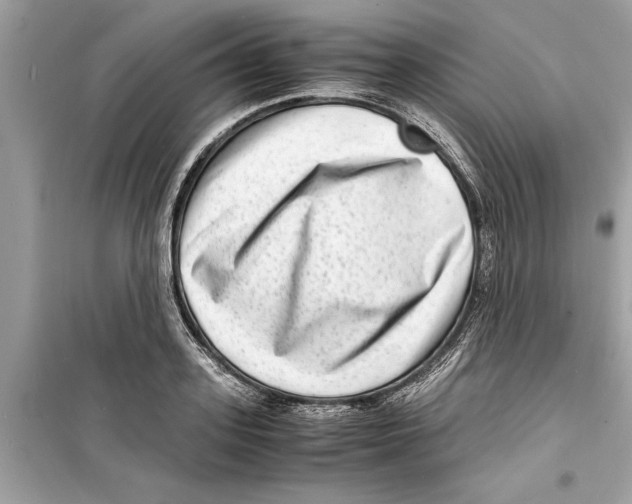 X0000098220939200805221645