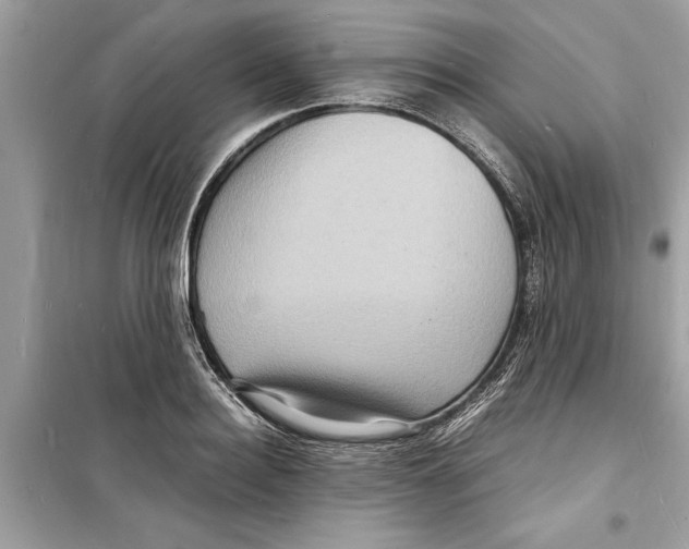 X0000098220940200805221645
