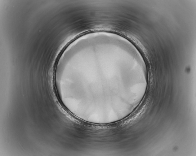 X0000098220941200805221645