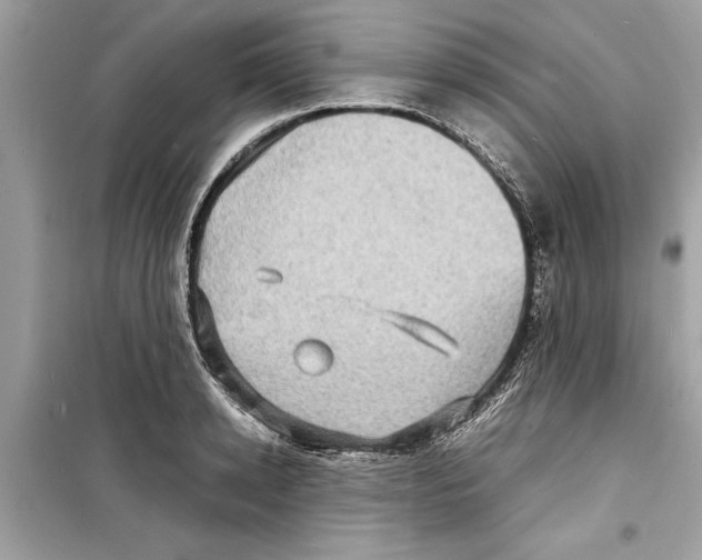X0000098220942200805221645