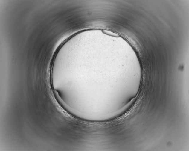 X0000098220944200805221645