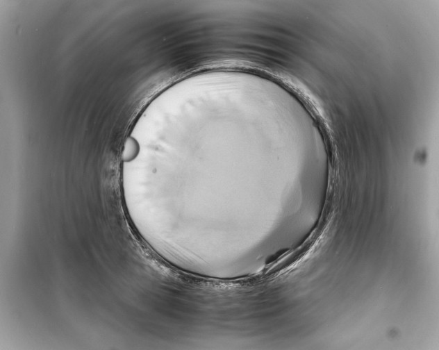 X0000098220945200805221645