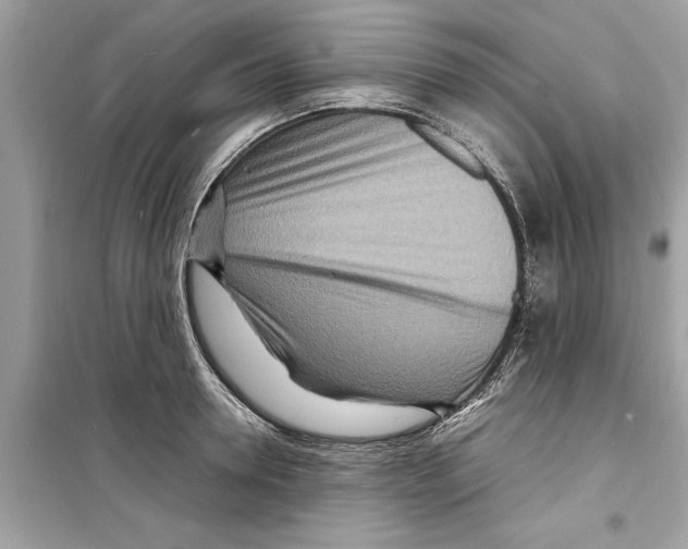 X0000098220946200805221645