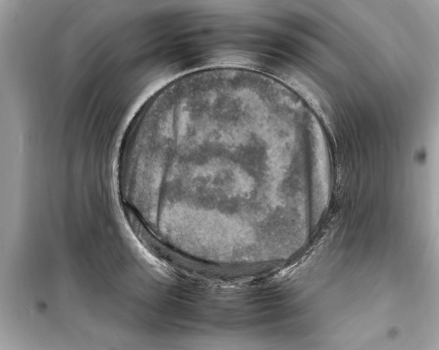 X0000098220947200805221645