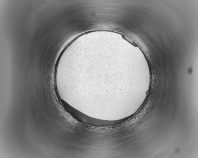 X0000098220948200805221645