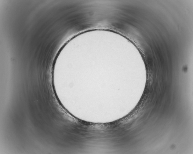 X0000098220950200805221645