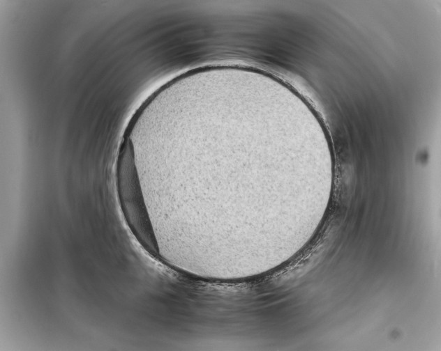 X0000098220951200805221645