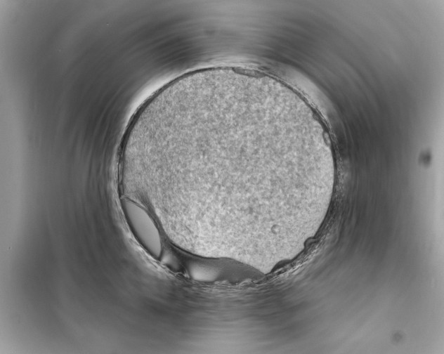 X0000098220952200805221645