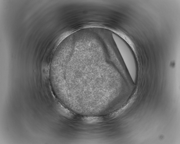 X0000098220953200805221645