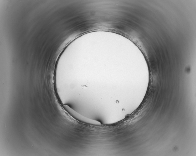 X0000098220954200805221645