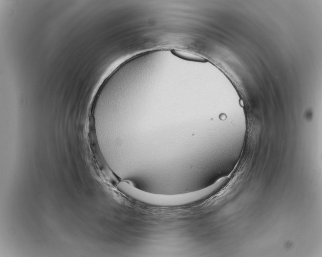 X0000098220956200805221645