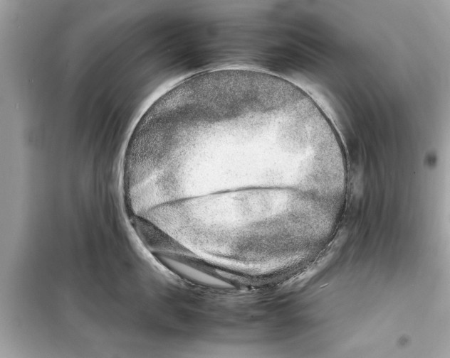X0000098220957200805221645