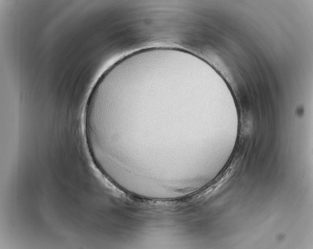 X0000098220958200805221645