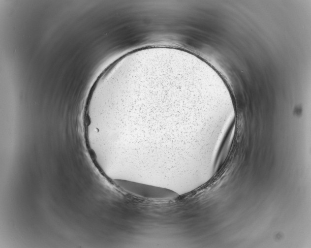X0000098220959200805221645