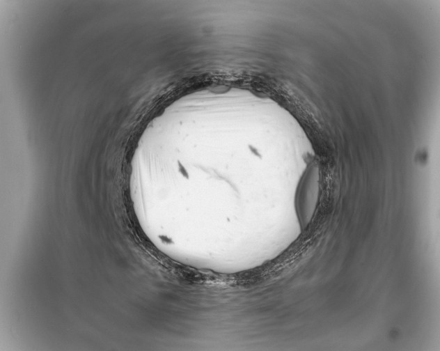 X0000098220961200805221645