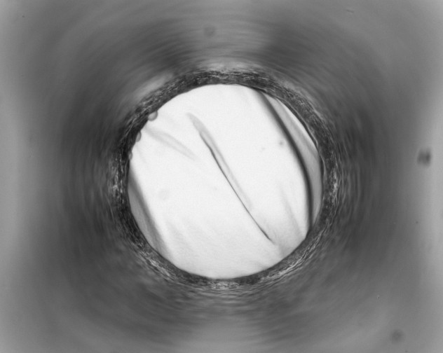 X0000098220966200805221645