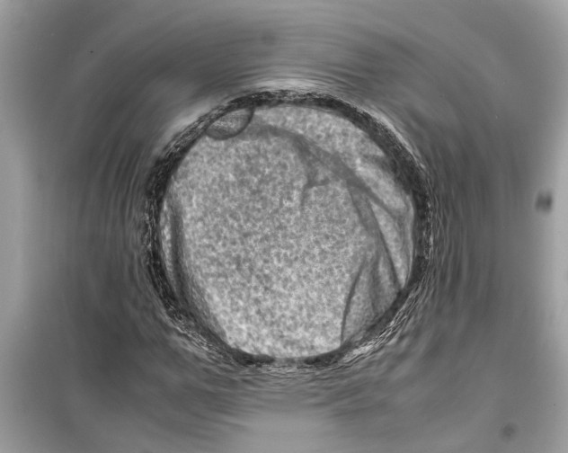 X0000098220967200805221645