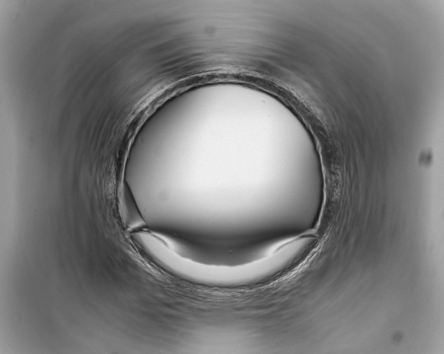 X0000098220969200805221645