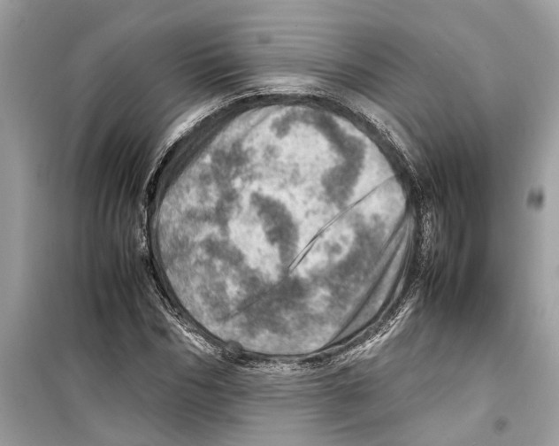X0000098220970200805221645