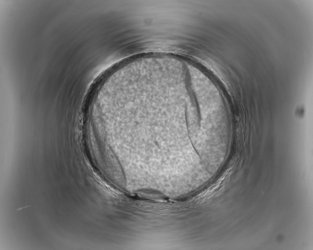 X0000098220971200805221645
