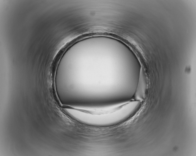 X0000098220973200805221645