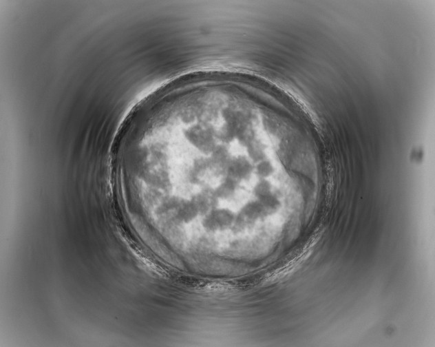 X0000098220974200805221645
