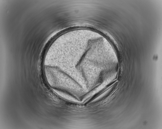 X0000098220975200805221645