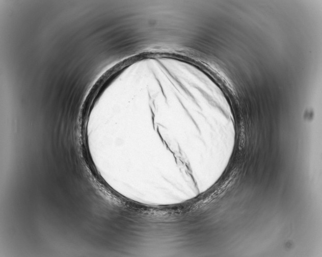 X0000098220976200805221645