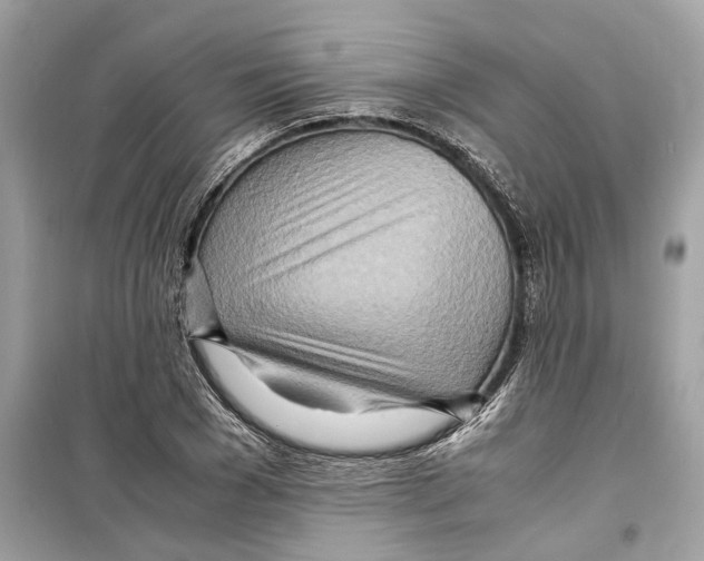 X0000098220977200805221645