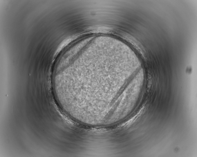 X0000098220978200805221645