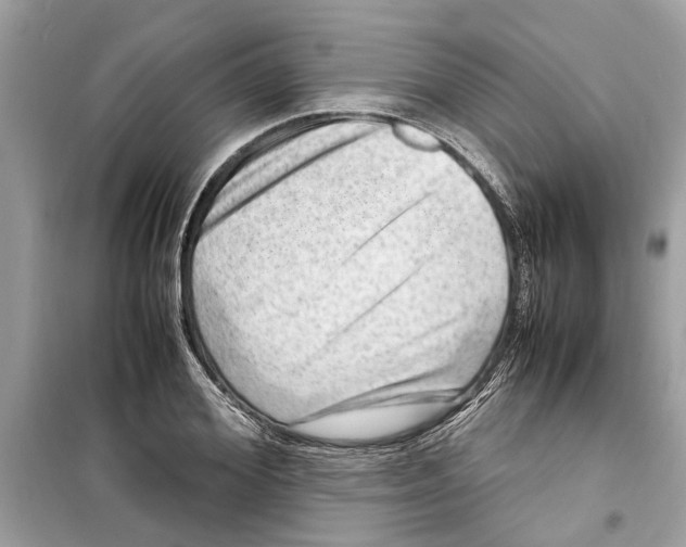 X0000098220980200805221645