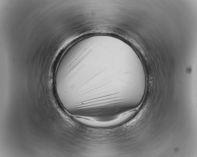 X0000098220981200805221645