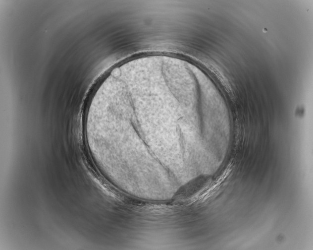 X0000098220982200805221645