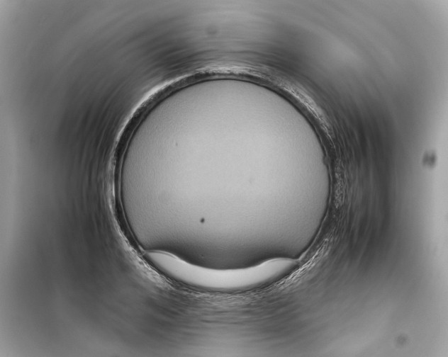 X0000098220984200805221645