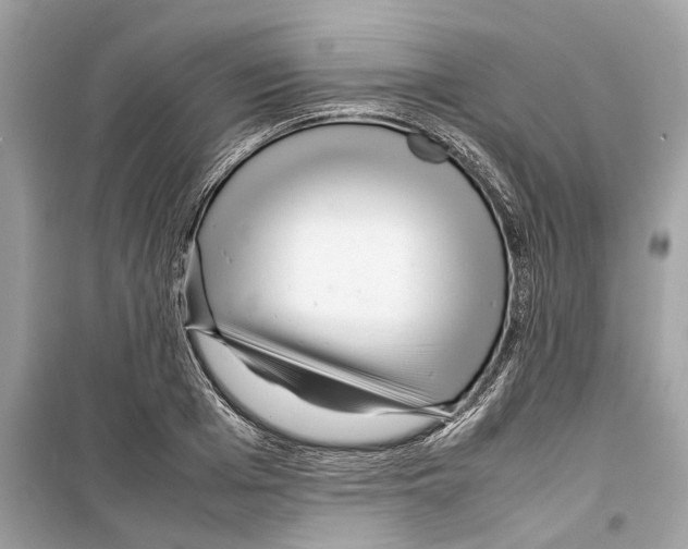 X0000098220985200805221645