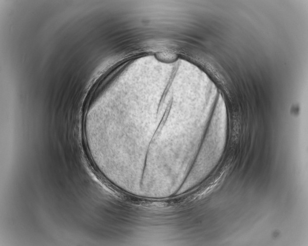 X0000098220986200805221645